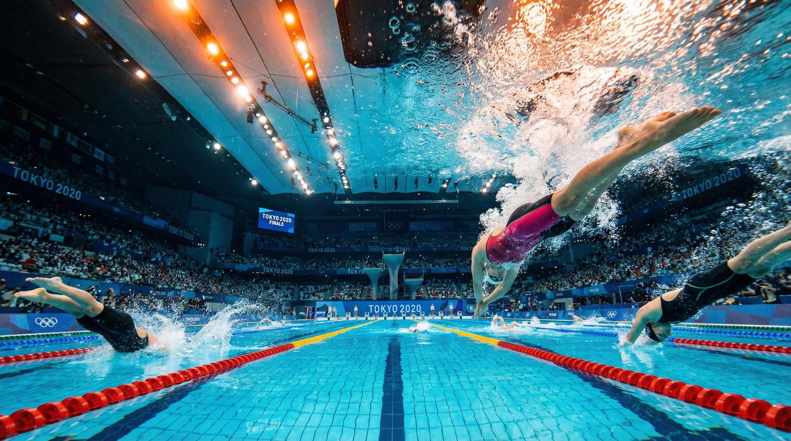 小马拉大车游泳体能视频